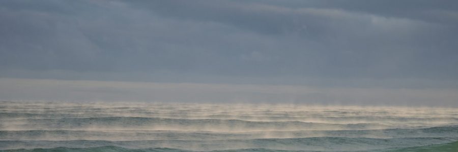 Neues darf entstehen